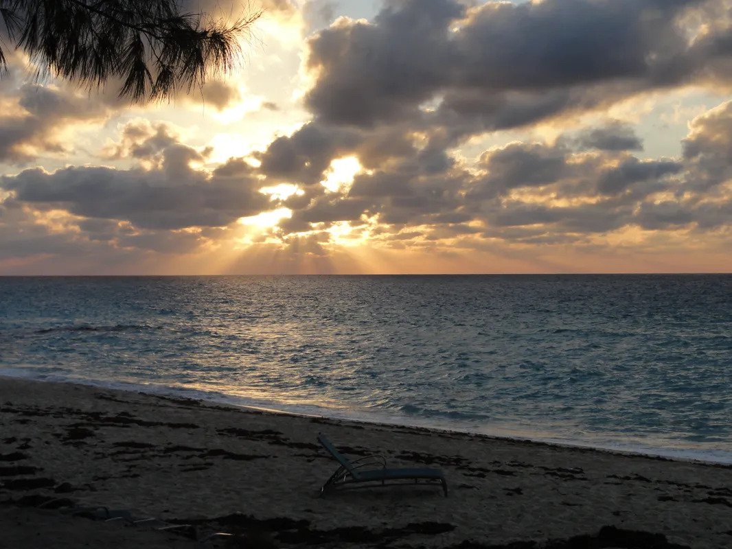 Bimini-Blue-Tulip-Cottage-12