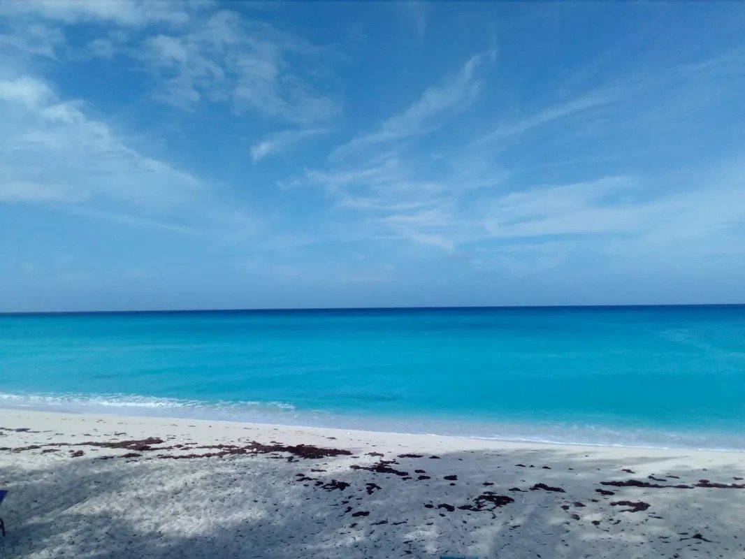Bimini-Blue-Tulip-Cottage-2