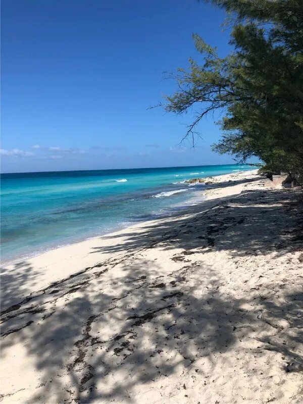 Bimini-Blue-Tulip-Cottage-21