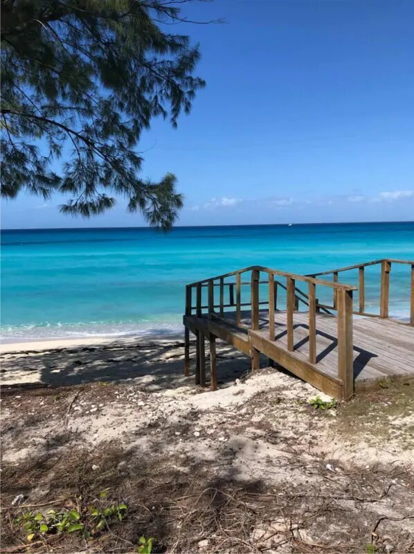 Bimini-Blue-Tulip-Cottage-22