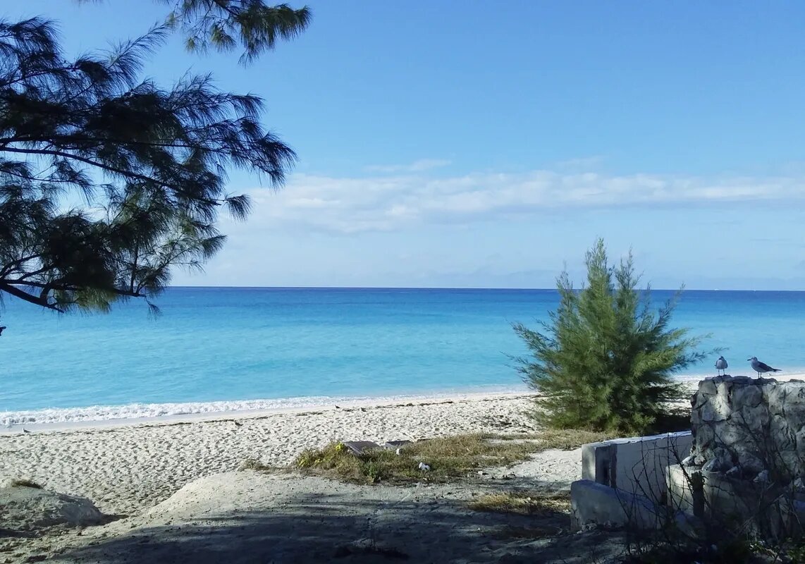 Bimini-Blue-Tulip-Cottage-23
